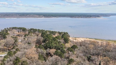 Secluded lakefront living surrounded by towering East Texas - photo 3