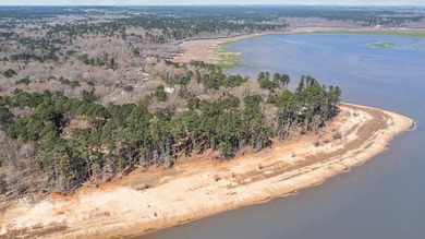 Secluded lakefront living surrounded by towering East Texas - photo 4