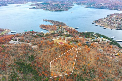Lake Acreage For Sale in Blue Eye, Missouri