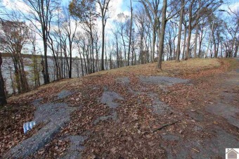 Lake Lot Off Market in Eddyville, Kentucky