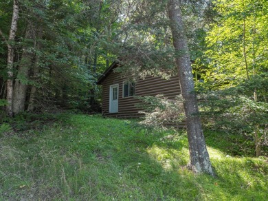 Lake Condo For Sale in Phelps, Wisconsin