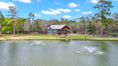 (private lake, pond, creek) Home For Sale in Village Mills Texas
