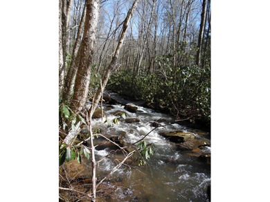 Recreational land near National Forest! Check out this 13.89 - photo 1