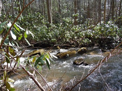 Recreational land near National Forest! Check out this 13.89 - photo 4