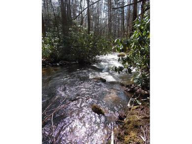 Recreational land near National Forest! Check out this 13.89 - photo 5