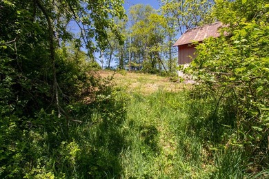 Recreational land near National Forest! Check out this 13.89 - photo 6