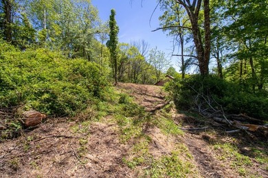 Recreational land near National Forest! Check out this 13.89 - photo 7