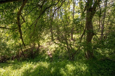 Recreational land near National Forest! Check out this 13.89 - photo 10