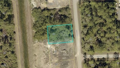 Lehigh Acres Area Lot For Sale in Lehigh Acres Florida