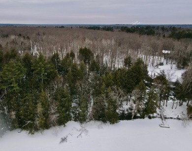 Lake Acreage Sale Pending in Tomahawk, Wisconsin