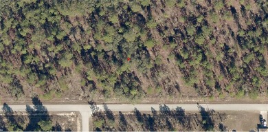 Bonable Lake Lot For Sale in Dunnellon Florida