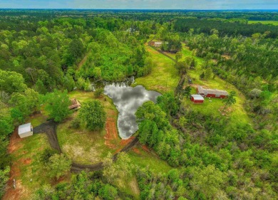 Seeking nature  space? 119 acres in Bronson awaits!  Two homes - Lake Home For Sale in Bronson, Texas