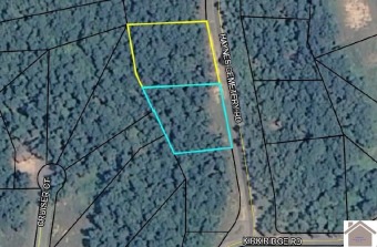 Looking to build your dream home near beautiful Kentucky Lake? - Lake Acreage For Sale in Murray, Kentucky