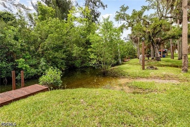Welcome to Parkside of Fort Myers, one of the area's best-kept - photo 24