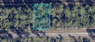 Lehigh Acres Area Lot For Sale in Lehigh Acres Florida