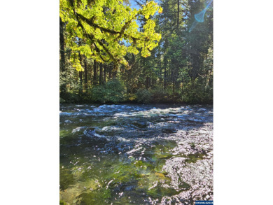 Lake Lot For Sale in Blue River, Oregon