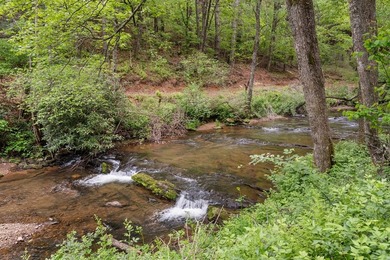 Unique Dual Cabin Creek Retreat Opportunity, Double Log Cabin - photo 2