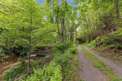 Unique Dual Cabin Creek Retreat Opportunity, Double Log Cabin - photo 3