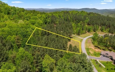 Lake Lot For Sale in Blairsville, Georgia