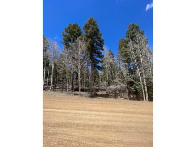 Monte Verde Lake - Colfax County Lot For Sale in Angel Fire New Mexico