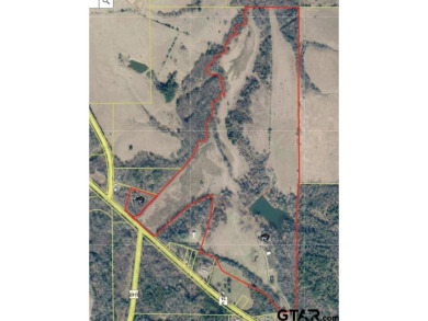 Lake Home For Sale in Winona, Texas