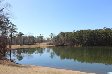 Lake Lot For Sale in Vincent, Alabama