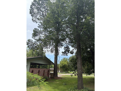Sitting on 1.65 acres, inside the city limits, this incredibly - photo 6