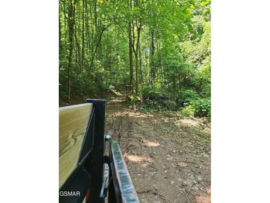 Douglas Lake Acreage For Sale in Dandridge Tennessee