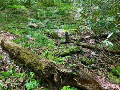 36+ acres of prime acreage in Maggie Valley off of - photo 11