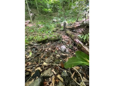 36+ acres of prime acreage in Maggie Valley off of - photo 12