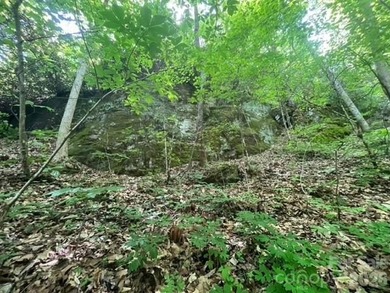 36+ acres of prime acreage in Maggie Valley off of - photo 13