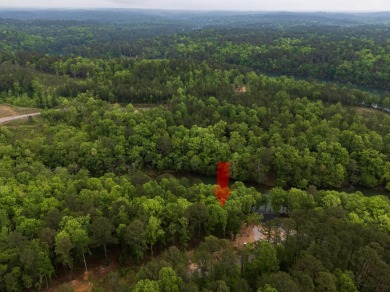 Jump right into lake living on this gentle sloped lot with a - photo 13