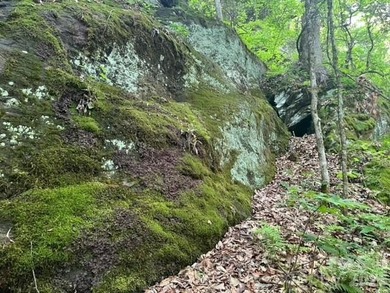 36+ acres of prime acreage in Maggie Valley off of - photo 14