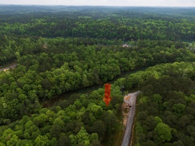 Jump right into lake living on this gentle sloped lot with a - photo 14