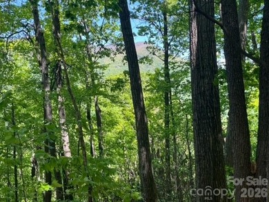 36+ acres of prime acreage in Maggie Valley off of - photo 16