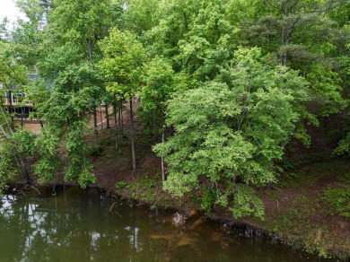 Jump right into lake living on this gentle sloped lot with a - photo 16