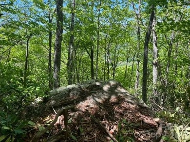36+ acres of prime acreage in Maggie Valley off of - photo 17