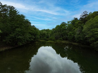 Jump right into lake living on this gentle sloped lot with a - photo 18
