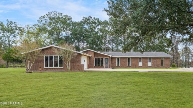 Lower Atchafalaya River Home For Sale in Baldwin Louisiana