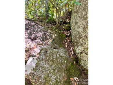 36+ acres of prime acreage in Maggie Valley off of - photo 22