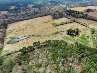 41.30 acres of improved hay pasture offering excellent - photo 2