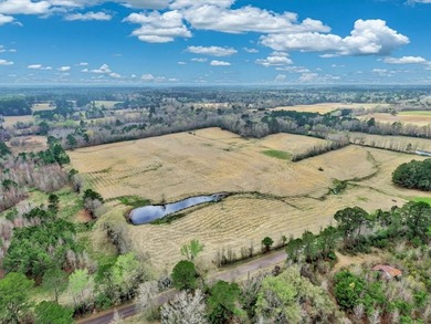 41.30 acres of improved hay pasture offering excellent - photo 3