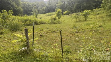 36+ acres of prime acreage in Maggie Valley off of - photo 24