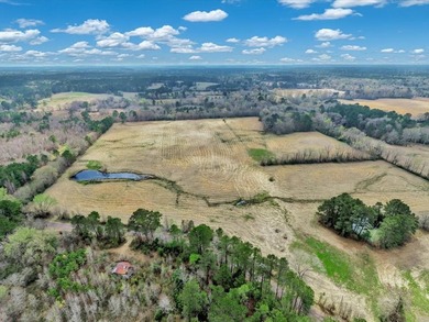41.30 acres of improved hay pasture offering excellent - photo 4