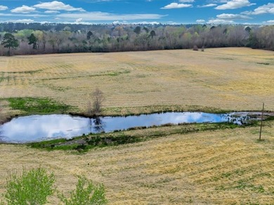 41.30 acres of improved hay pasture offering excellent - photo 5