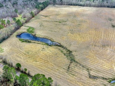 41.30 acres of improved hay pasture offering excellent - photo 6