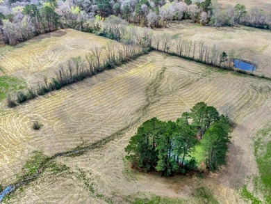 41.30 acres of improved hay pasture offering excellent - photo 7