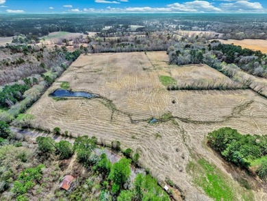 41.30 acres of improved hay pasture offering excellent - photo 8