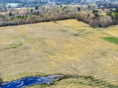 41.30 acres of improved hay pasture offering excellent - photo 9