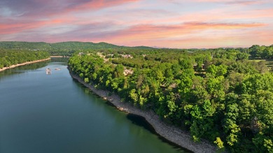 Large Lakeview condo located in Woodson Bend Resort. This - photo 3